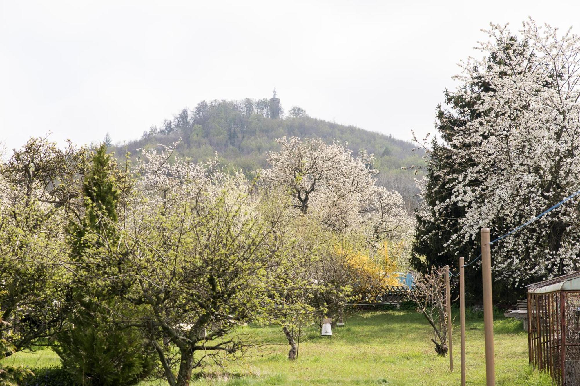 Ferienhaus "Am Staufenberg" Blankenburg  Ngoại thất bức ảnh